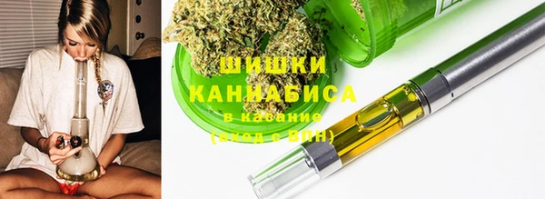 шишки Протвино