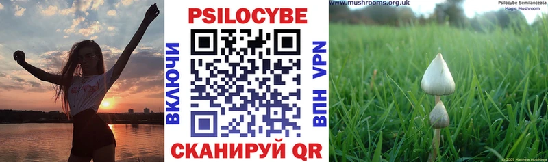 Галлюциногенные грибы прущие грибы  Знаменск 